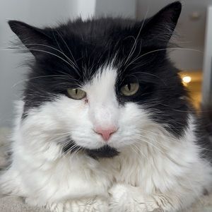 Meet your Posher, Michelle